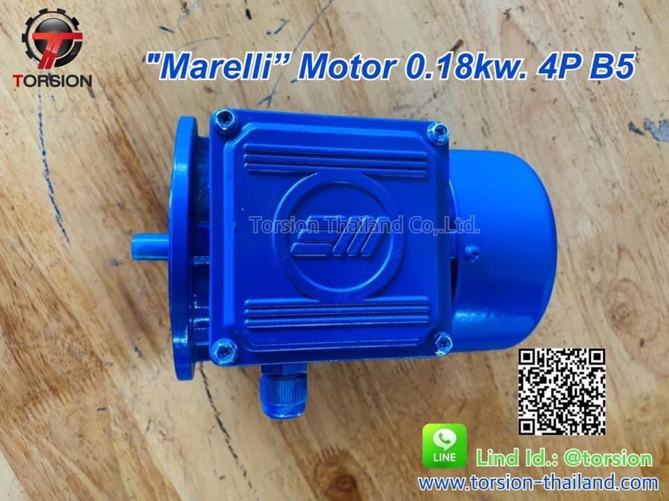 Explosion Proof Motor