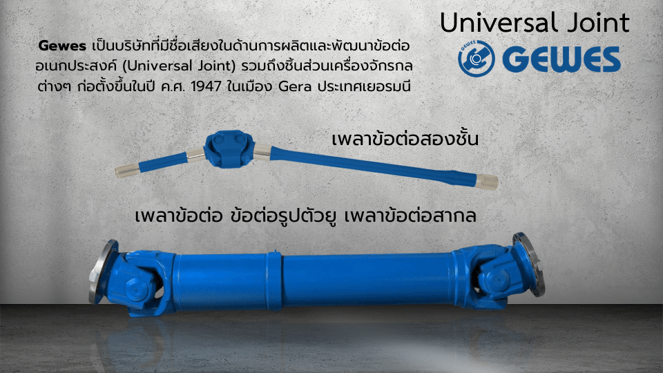 Gewes Universal joint