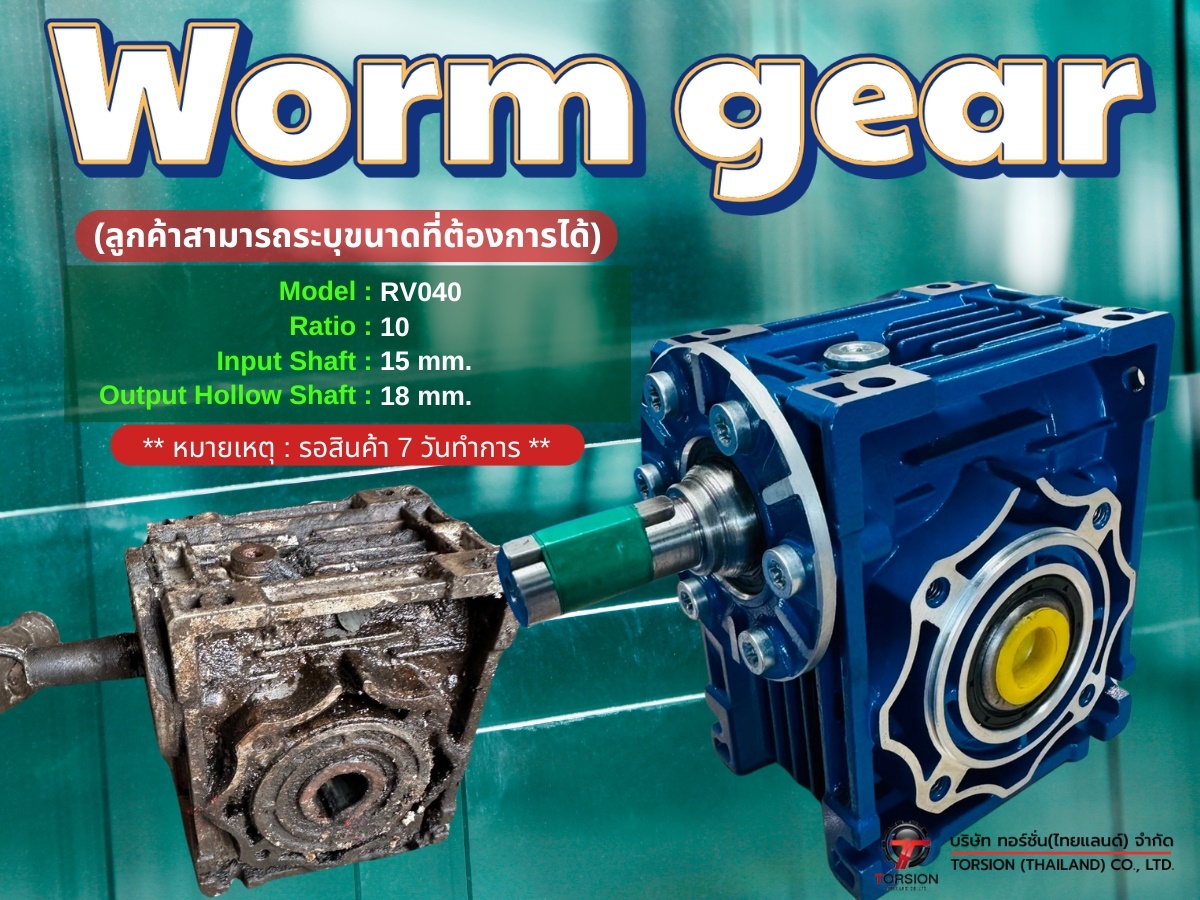 Worm Gear