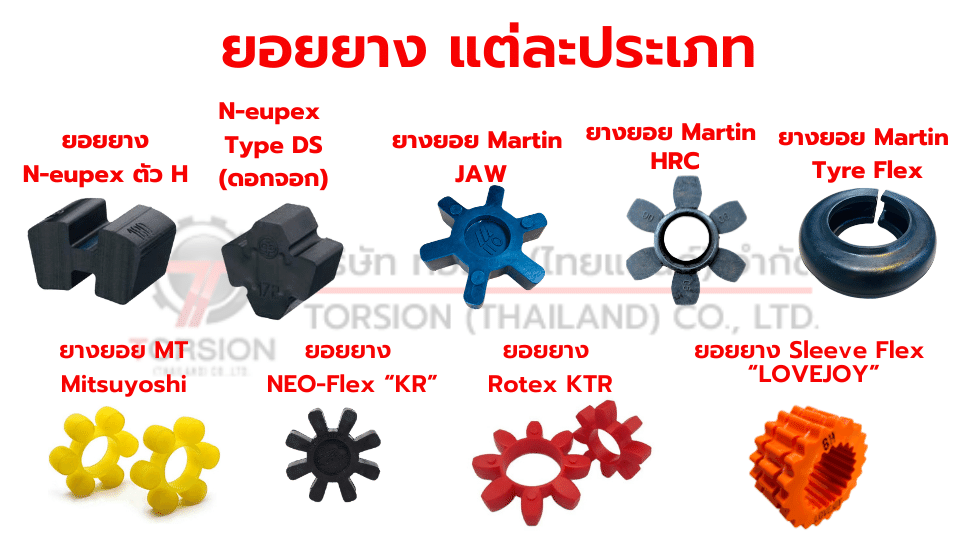 ยอยยางแต่ละประเภท