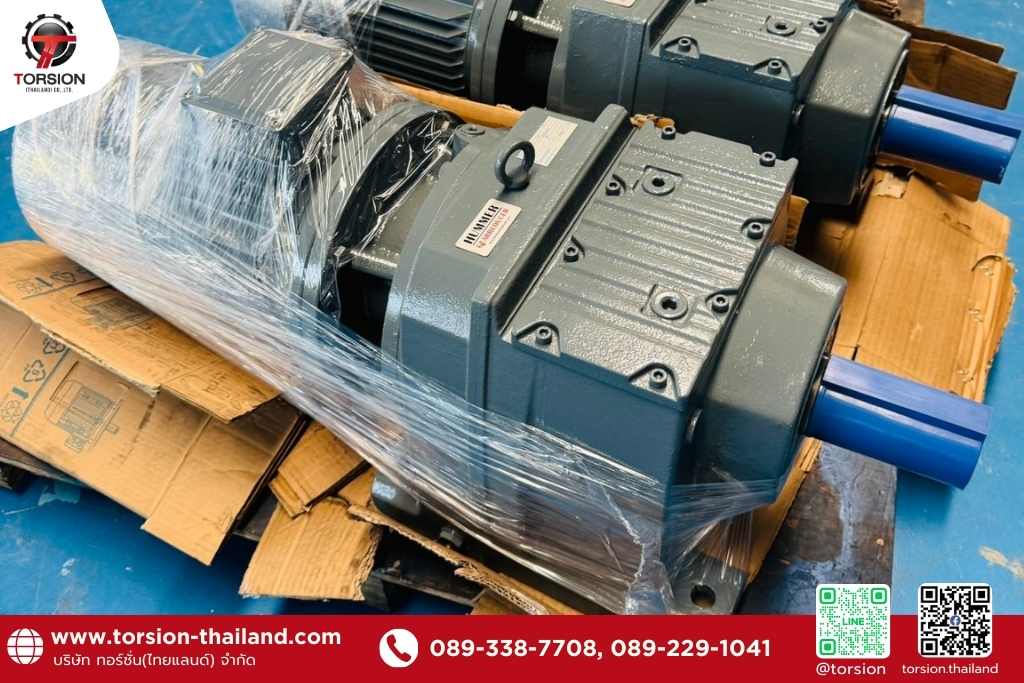 torsion-thailand (4)