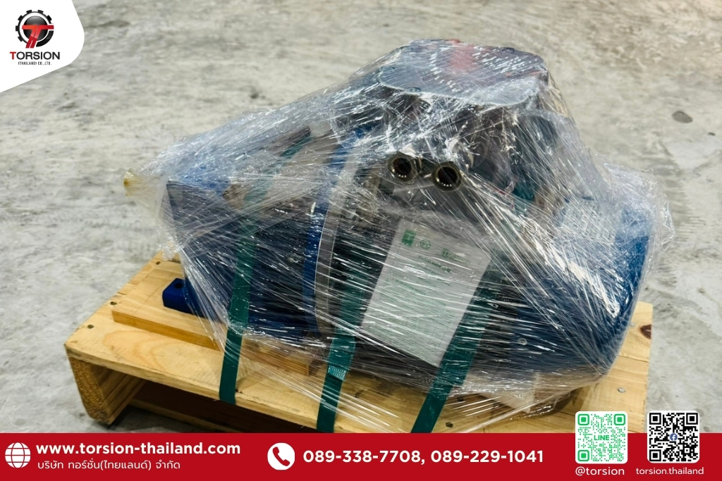 torsion-thailand (7)