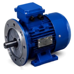 B35 Foot and D Flange Mounted