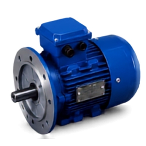 B5 D Flange Mounted